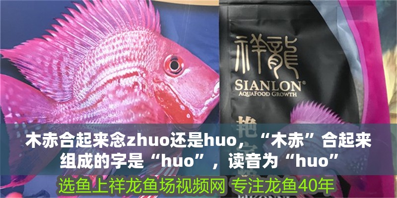 木赤合起來念zhuo還是huo，“木赤”合起來組成的字是“huo”，讀音為“huo”