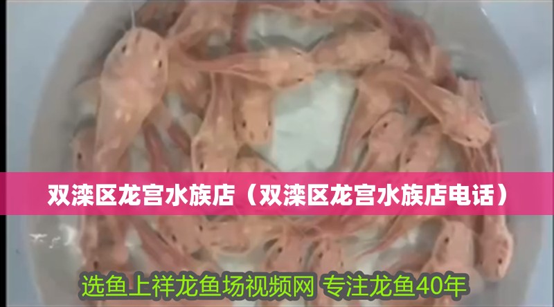 雙灤區龍宮水族店（雙灤區龍宮水族店電話）
