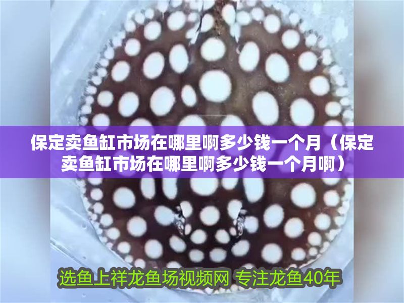 保定賣(mài)魚(yú)缸市場(chǎng)在哪里啊多少錢(qián)一個(gè)月（保定賣(mài)魚(yú)缸市場(chǎng)在哪里啊多少錢(qián)一個(gè)月啊）