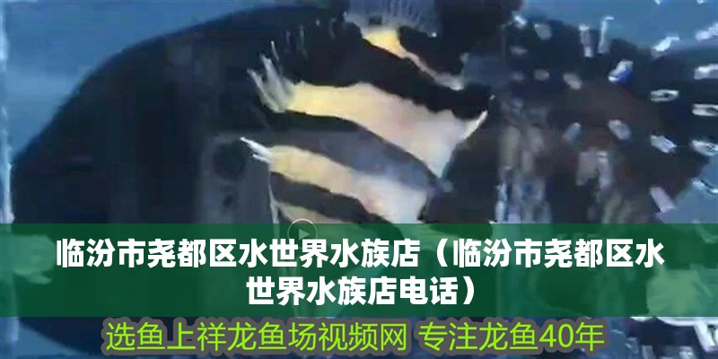臨汾市堯都區水世界水族店（臨汾市堯都區水世界水族店電話）
