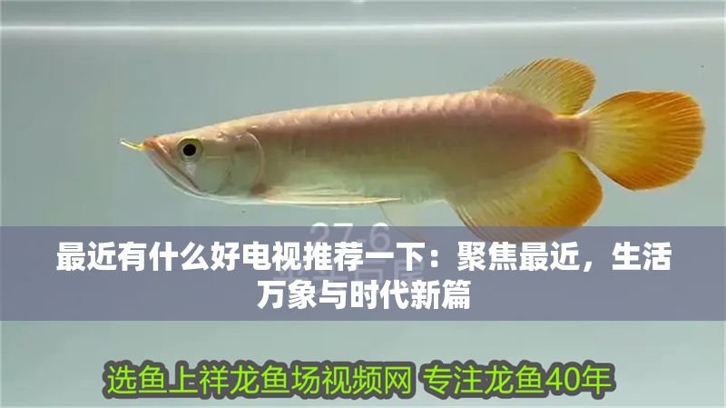 最近有什么好電視推薦一下：聚焦最近，生活萬象與時代新篇