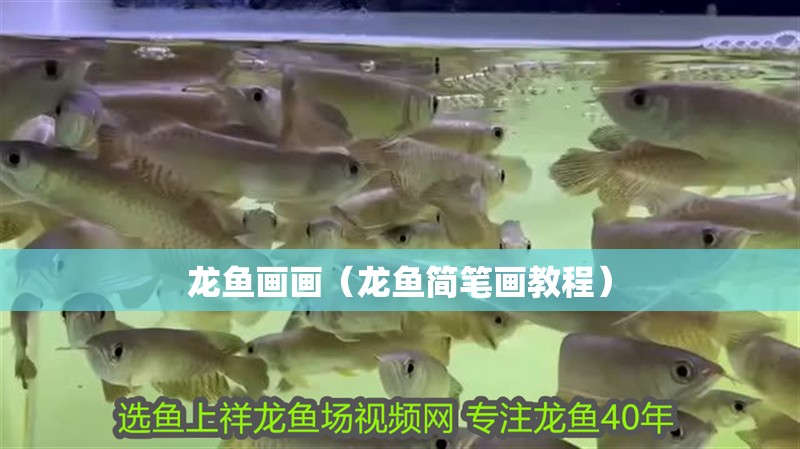龍魚畫畫（龍魚簡筆畫教程）