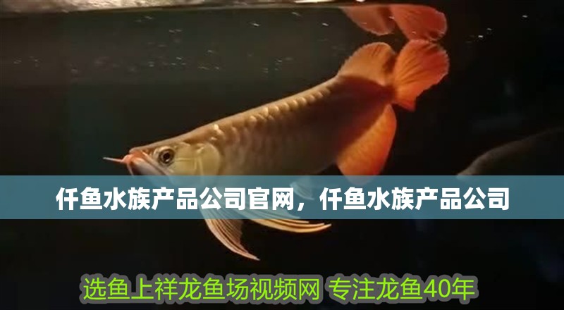 仟魚水族產(chǎn)品公司官網(wǎng)，仟魚水族產(chǎn)品公司 仟魚水族產(chǎn)品公司官網(wǎng)，仟魚水族產(chǎn)品公司 龍魚論壇