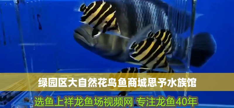 綠園區大自然花鳥魚商城思予水族館 綠園區大自然花鳥魚商城思予水族館 全國水族館企業名錄 第2張