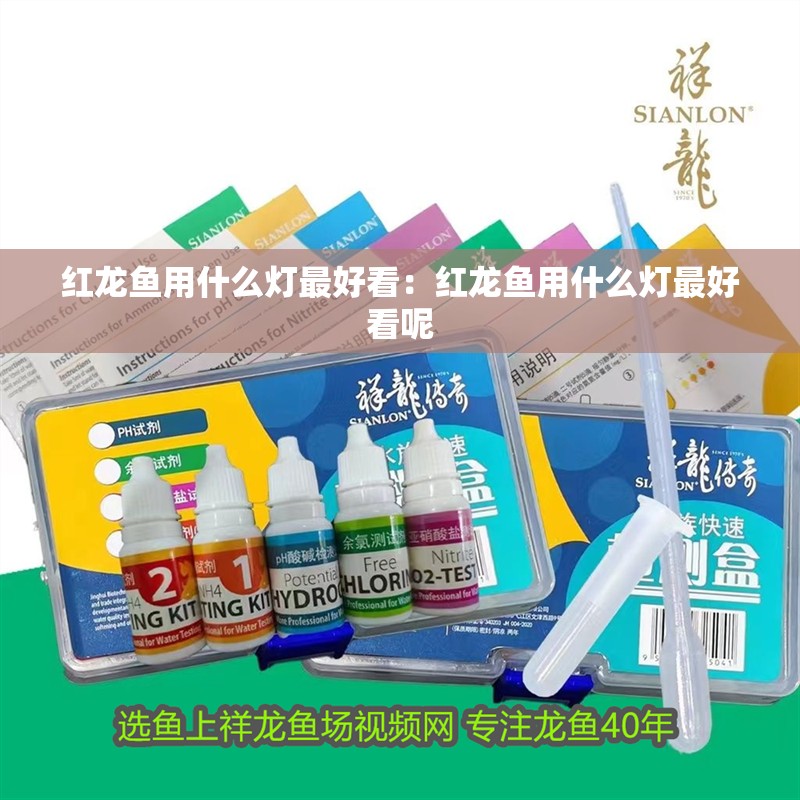 紅龍魚用什么燈最好看：紅龍魚用什么燈最好看呢