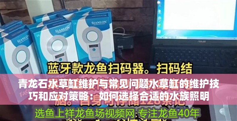 青龍石水草缸維護與常見問題水草缸的維護技巧和應對策略：如何選擇合適的水族照明