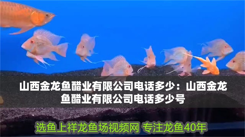 山西金龍魚醋業(yè)有限公司電話多少：山西金龍魚醋業(yè)有限公司電話多少號
