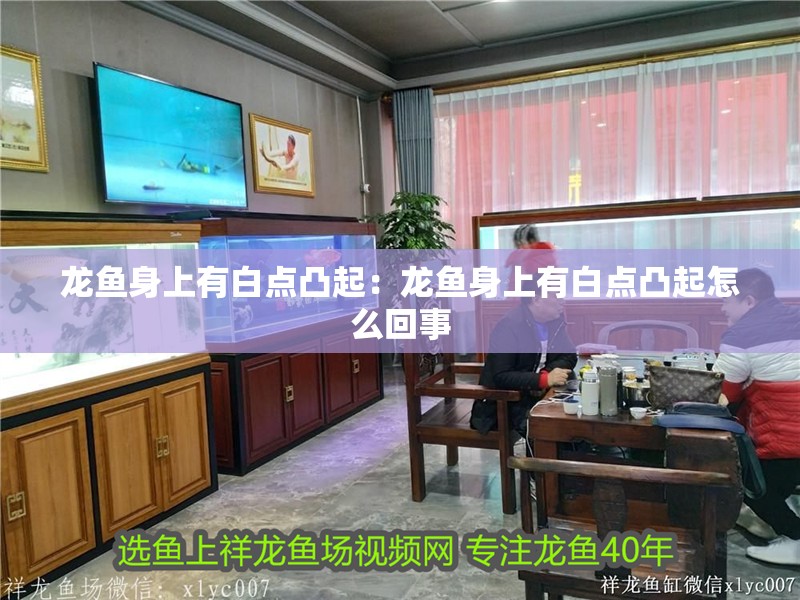 龍魚身上有白點凸起：龍魚身上有白點凸起怎么回事 龍魚身上有白點凸起：龍魚身上有白點凸起怎么回事 水族問答