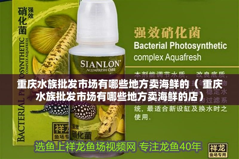 重慶水族批發市場有哪些地方賣海鮮的（ 重慶水族批發市場有哪些地方賣海鮮的店）