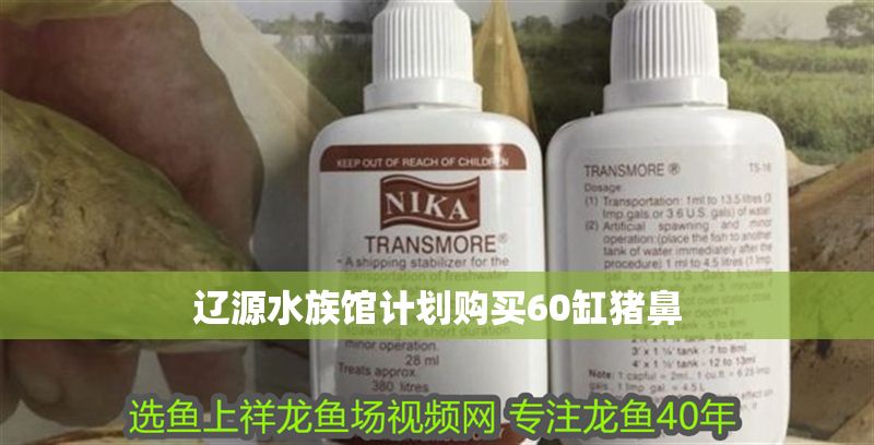 遼源水族館計劃購買60缸豬鼻