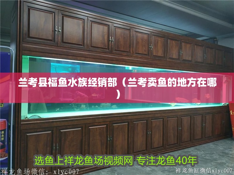 蘭考縣福魚水族經(jīng)銷部（蘭考賣魚的地方在哪）