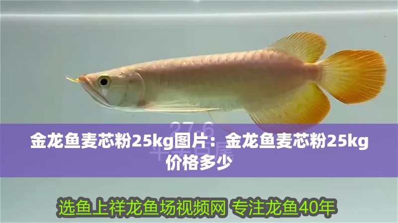 金龍魚麥芯粉25kg圖片：金龍魚麥芯粉25kg價(jià)格多少