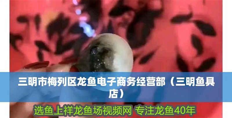 三明市梅列區(qū)龍魚(yú)電子商務(wù)經(jīng)營(yíng)部（三明魚(yú)具店）