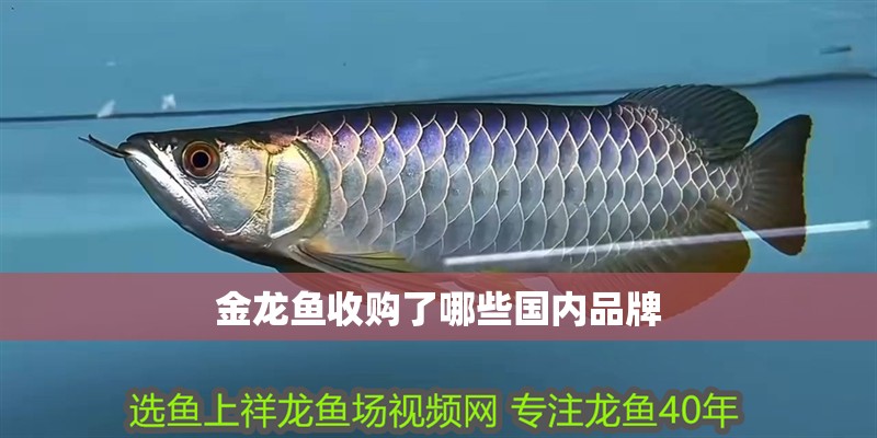 金龍魚收購了哪些國內(nèi)品牌