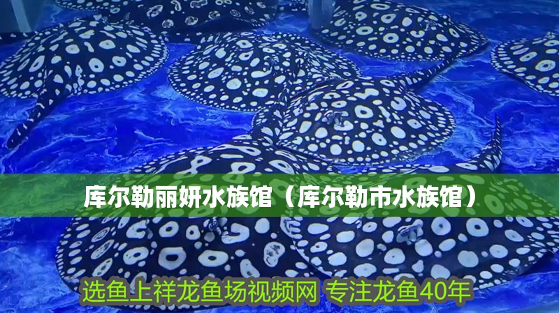 庫爾勒麗妍水族館（庫爾勒市水族館）