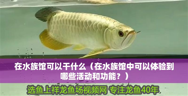 在水族館可以干什么（在水族館中可以體驗到哪些活動和功能？）