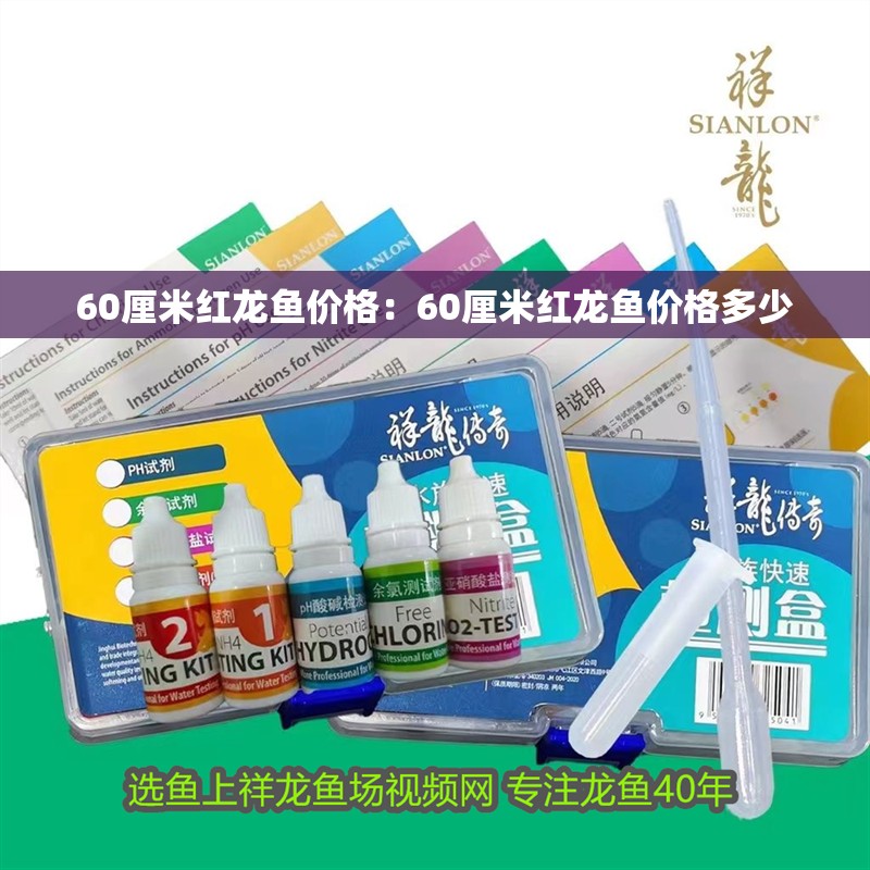60厘米紅龍魚價格：60厘米紅龍魚價格多少