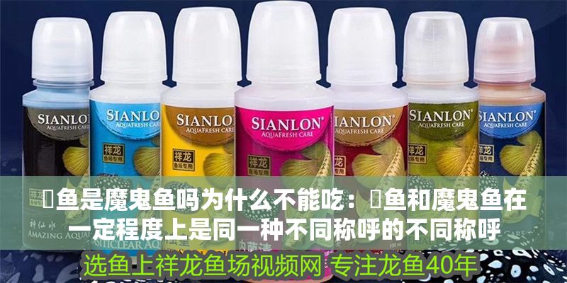 魟魚是魔鬼魚嗎為什么不能吃：魟魚和魔鬼魚在一定程度上是同一種不同稱呼的不同稱呼 魟魚是魔鬼魚嗎為什么不能吃：魟魚和魔鬼魚在一定程度上是同一種不同稱呼的不同稱呼 魟魚百科 第2張