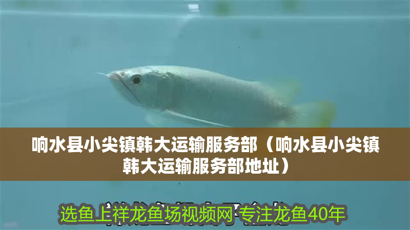 響水縣小尖鎮韓大運輸服務部（響水縣小尖鎮韓大運輸服務部地址）