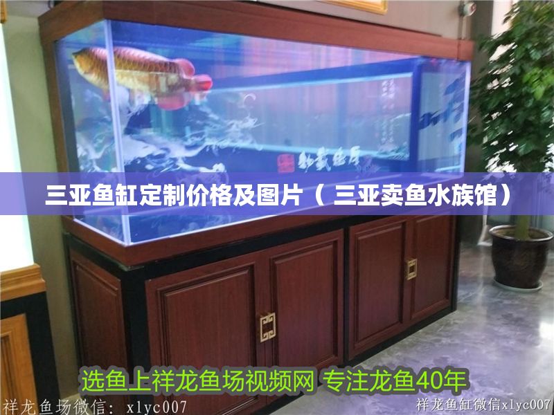 三亞魚(yú)缸定制價(jià)格及圖片（ 三亞賣(mài)魚(yú)水族館）