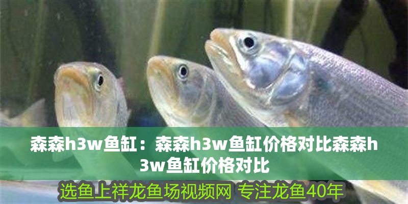 森森h3w魚缸：森森h3w魚缸價格對比森森h3w魚缸價格對比