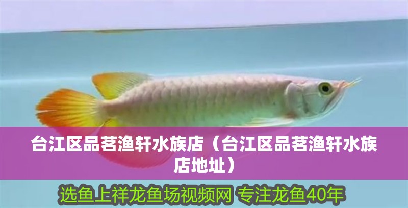 臺江區品茗漁軒水族店（臺江區品茗漁軒水族店地址）