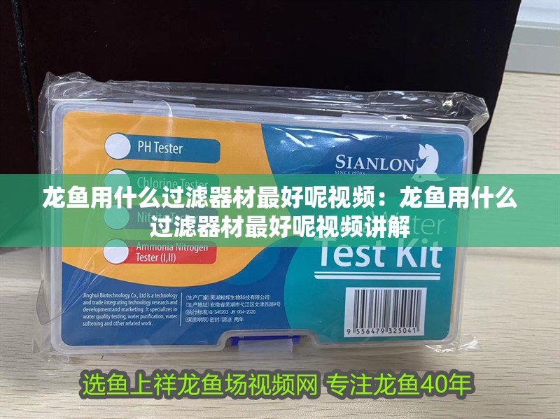 龍魚用什么過濾器材最好呢視頻：龍魚用什么過濾器材最好呢視頻講解