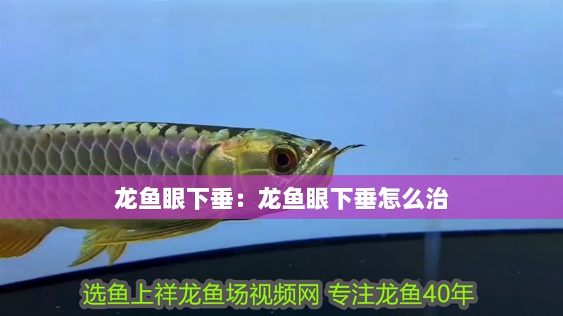 龍魚眼下垂：龍魚眼下垂怎么治