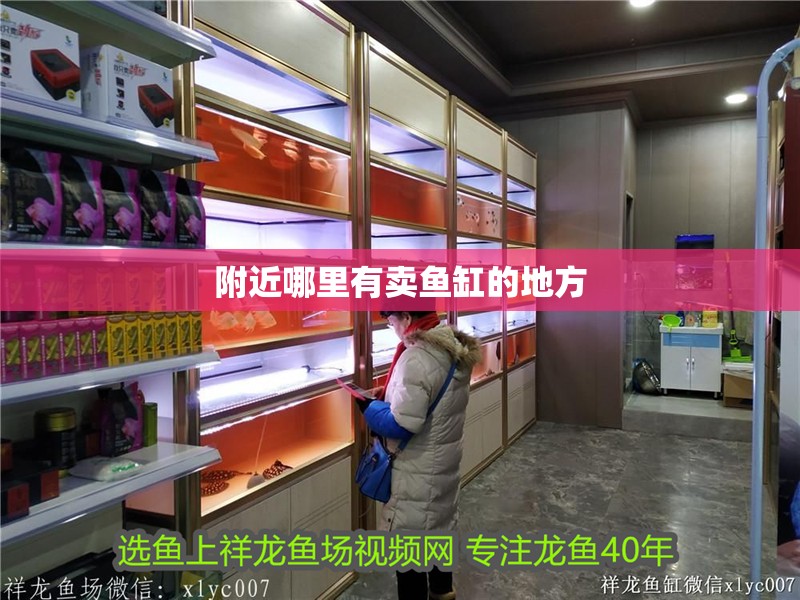 附近哪里有賣魚缸的地方