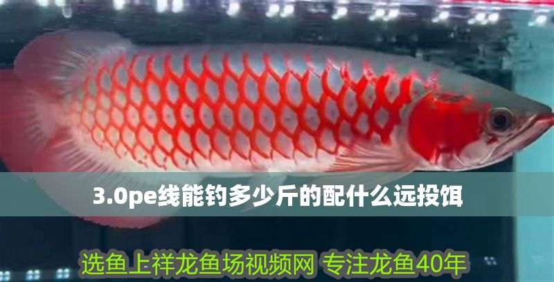 3.0pe線能釣多少斤的配什么遠投餌 3.0pe線能釣多少斤的配什么遠投餌 魟魚百科 第2張