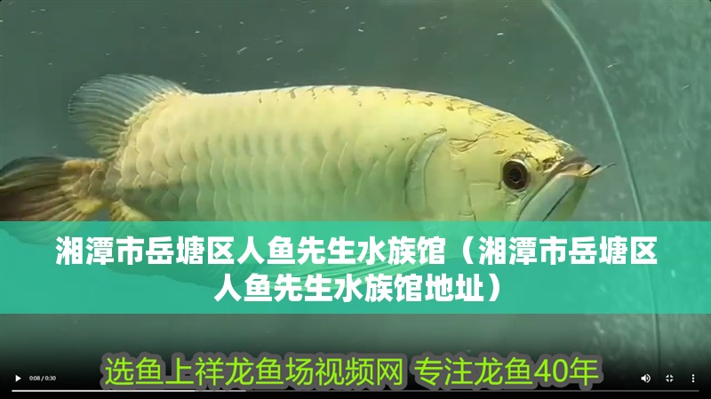 湘潭市岳塘區人魚先生水族館（湘潭市岳塘區人魚先生水族館地址）