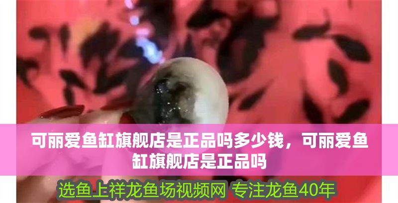 可麗愛魚缸旗艦店是正品嗎多少錢，可麗愛魚缸旗艦店是正品嗎