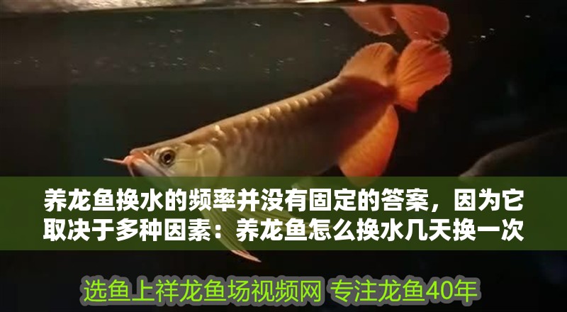 魚缸用增氧泵價格是多少:魚缸增氧機-xtrac增氧機-xtrac增氧機 養龍魚換水的頻率并沒有固定的答案,因為它取決于多種因素:養龍魚怎么換水幾天換一次 龍魚百科 養龍魚換水的頻率并沒有固定的答案,因為它取決于多種因素:養龍魚怎么換水幾天換一次 養龍魚換水的頻率并沒有固定的答案,因為它取決于多種因素:養龍魚怎么換水幾天換一次 龍魚百科