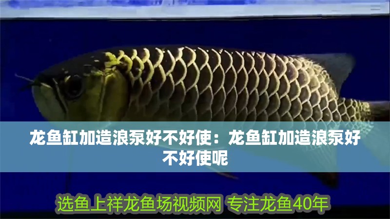 龍魚缸加造浪泵好不好使：龍魚缸加造浪泵好不好使呢