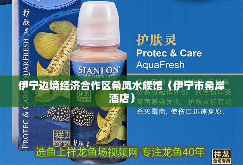 伊寧邊境經濟合作區希鳳水族館（伊寧市希岸酒店） 伊寧邊境經濟合作區希鳳水族館（伊寧市希岸酒店） 全國水族館企業名錄 第2張