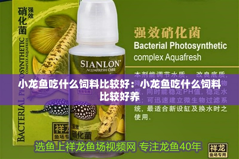小龍魚吃什么飼料比較好：小龍魚吃什么飼料比較好養 小龍魚吃什么飼料比較好：小龍魚吃什么飼料比較好養 水族問答