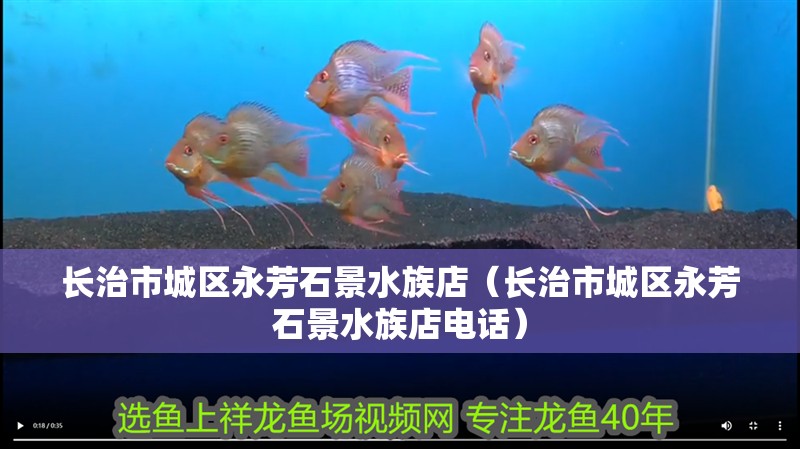 長治市城區永芳石景水族店（長治市城區永芳石景水族店電話） 長治市城區永芳石景水族店（長治市城區永芳石景水族店電話） 全國水族館企業名錄 第1張