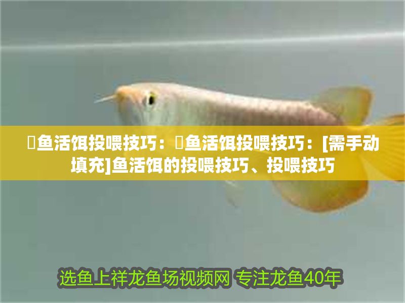 魟魚活餌投喂技巧：魟魚活餌投喂技巧：[需手動填充]魚活餌的投喂技巧、投喂技巧
