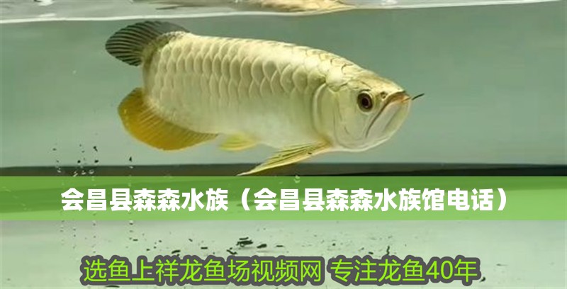 會(huì)昌縣森森水族（會(huì)昌縣森森水族館電話(huà)）