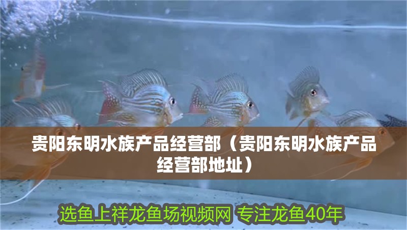 貴陽東明水族產(chǎn)品經(jīng)營部（貴陽東明水族產(chǎn)品經(jīng)營部地址）