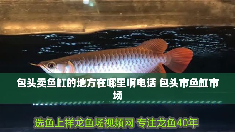 包頭賣魚缸的地方在哪里啊電話 包頭市魚缸市場