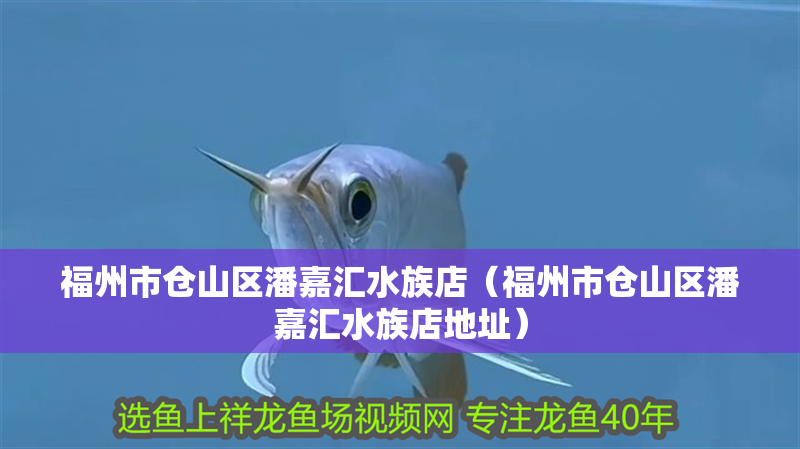 福州市倉山區潘嘉匯水族店（福州市倉山區潘嘉匯水族店地址） 福州市倉山區潘嘉匯水族店（福州市倉山區潘嘉匯水族店地址） 全國水族館企業名錄 第2張