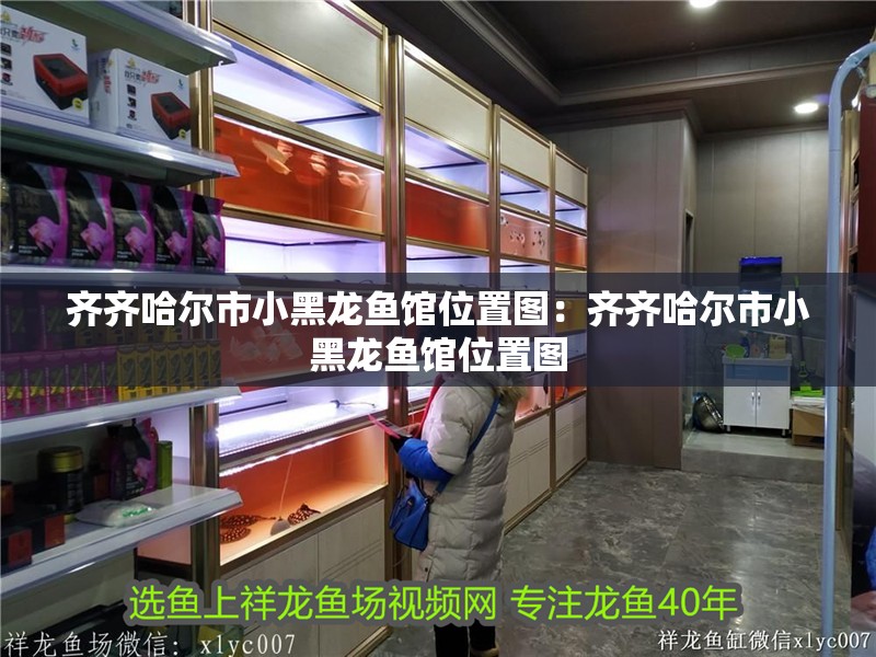 齊齊哈爾市小黑龍魚館位置圖：齊齊哈爾市小黑龍魚館位置圖 齊齊哈爾市小黑龍魚館位置圖：齊齊哈爾市小黑龍魚館位置圖 水族問答