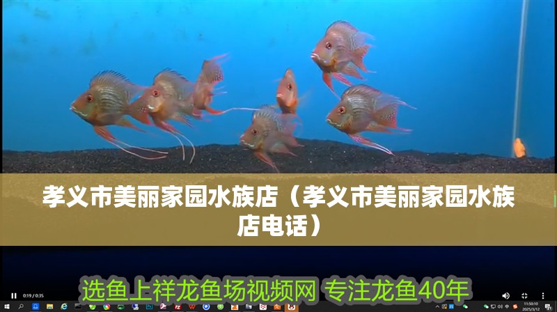 孝義市美麗家園水族店（孝義市美麗家園水族店電話）