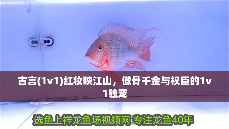 古言(1v1)紅妝映<strong><mark>江山</mark></strong>，傲骨千金與權臣的1v1獨寵