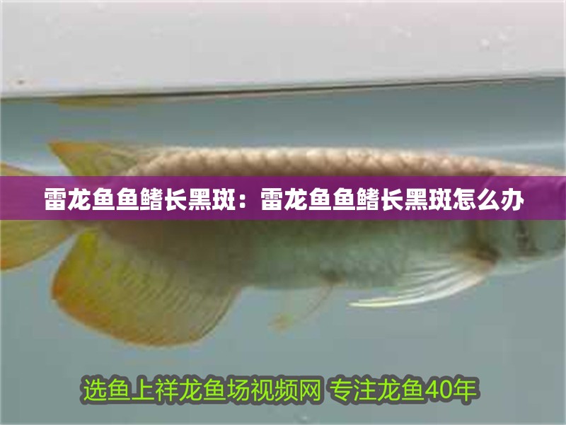 博特水泵使用說明:博特水泵怎么調節