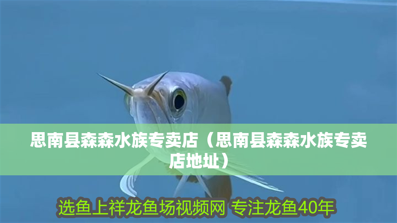 思南縣森森水族專賣店（思南縣森森水族專賣店地址）