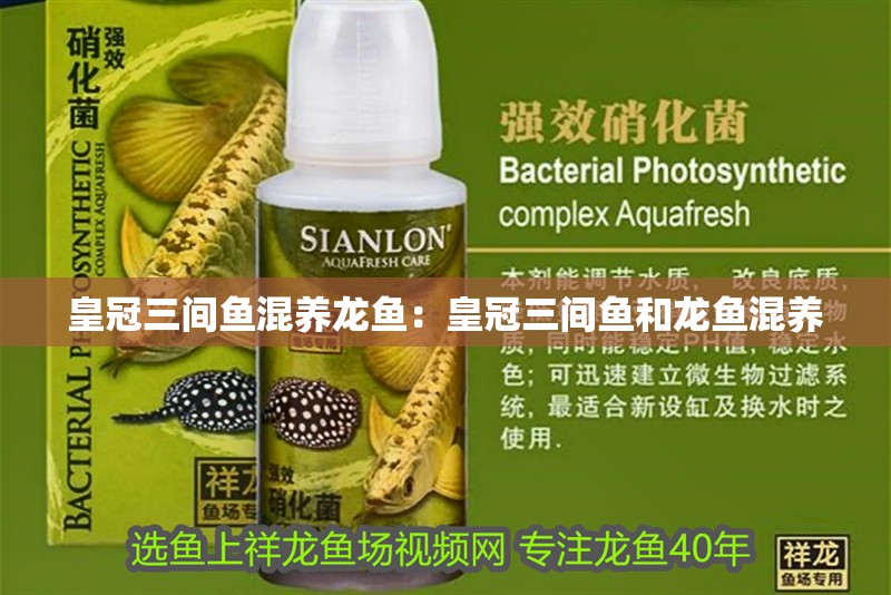 森森803改造出水口：改造森森803魚缸過濾器出水口需要注意什么