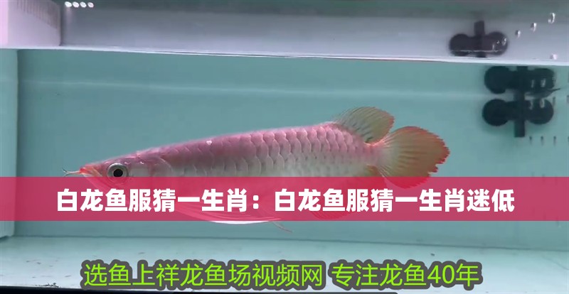 2米的魚缸需要多厚的玻璃呢(2米的魚缸需要多厚的玻璃呢)