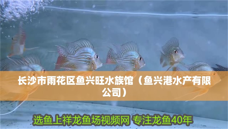 長(zhǎng)沙市雨花區(qū)魚(yú)興旺水族館（魚(yú)興港水產(chǎn)有限公司）